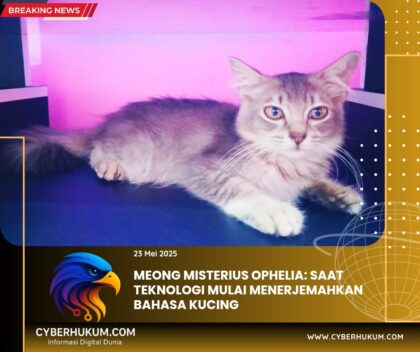 IMG 20250523 WA0028
