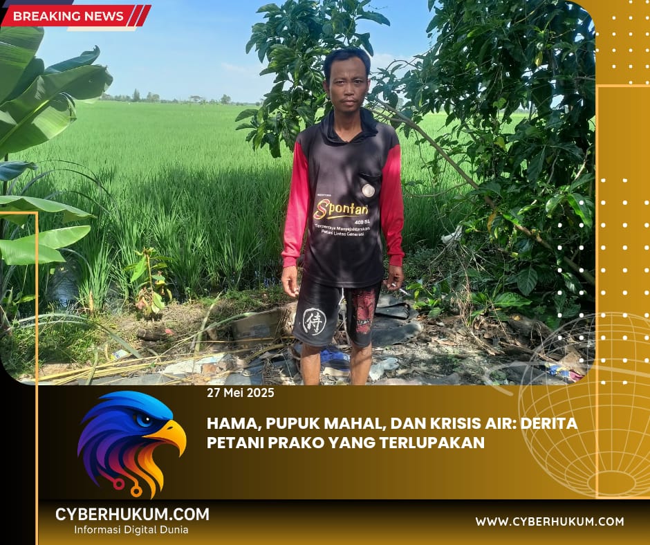 IMG 20250527 WA0036