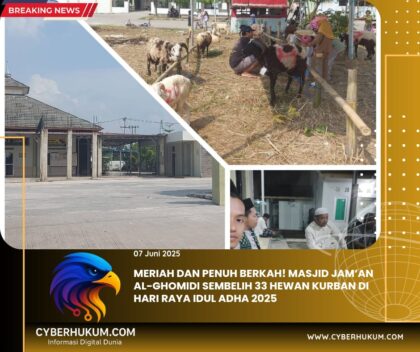 IMG 20250607 WA0013
