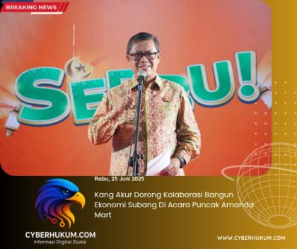 IMG 20250625 WA0028