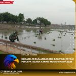 IMG 20250628 WA0054