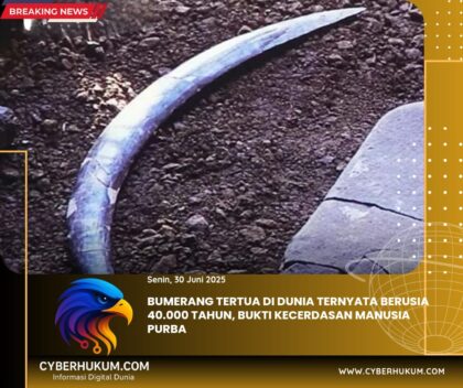 IMG 20250630 WA0003